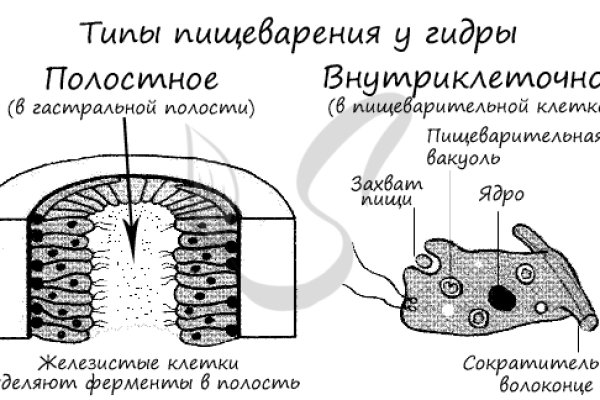 Кракен маркетплейс почему не закроют