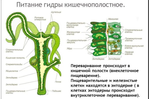 Как зарегаться в кракен