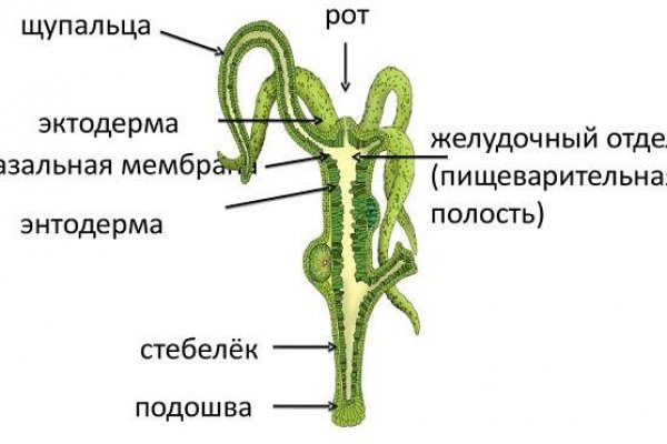 Сайты где купить счастье