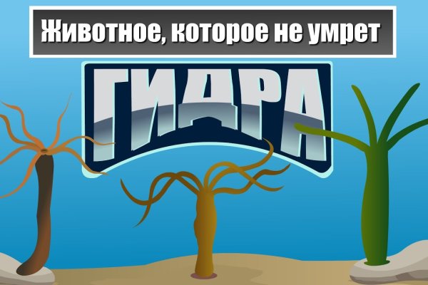 Впн для кракена
