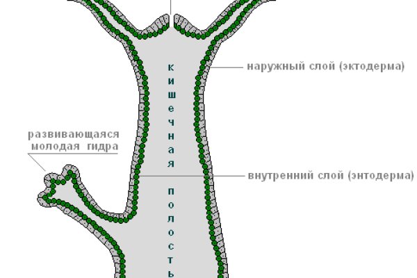 Kra49.cc Вход на сайт главная страница